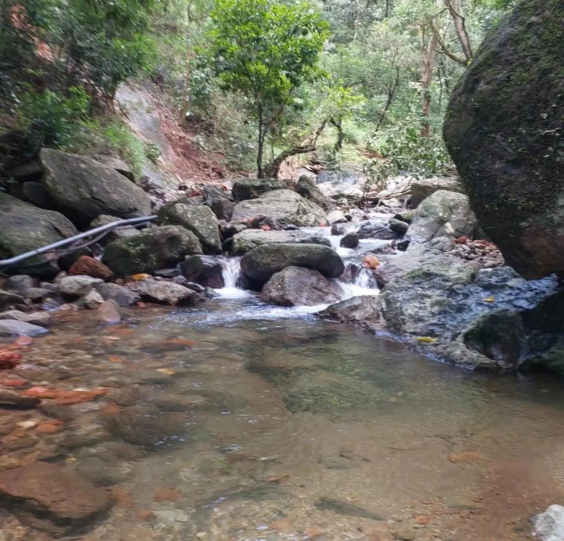 Lake Villa Vythiri Indien