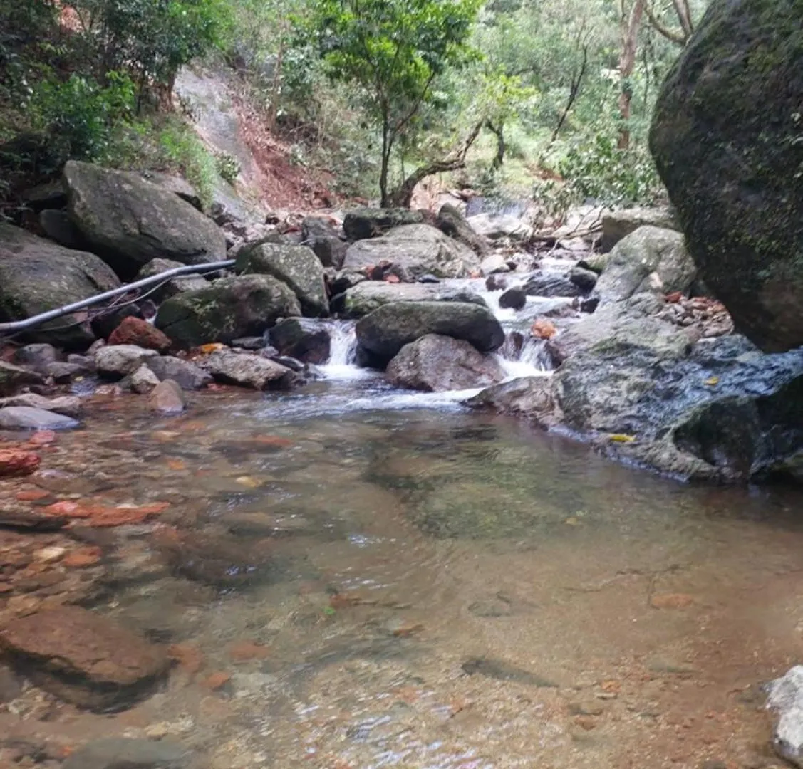 Lake Villa Vythiri 0*,  Indien